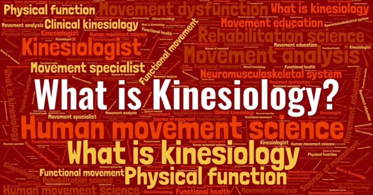 What is Kinesiology?